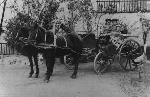 Sorelline in carrozza