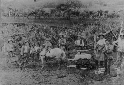 Lavori in campagna