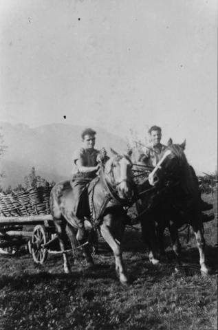 Lavori in campagna