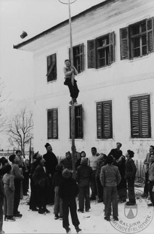 L'albero della cuccagna