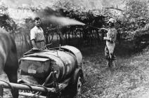 Lavori in campagna